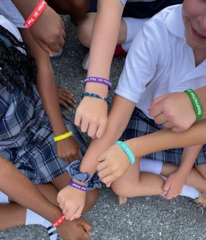 Give to the RSPS Fund